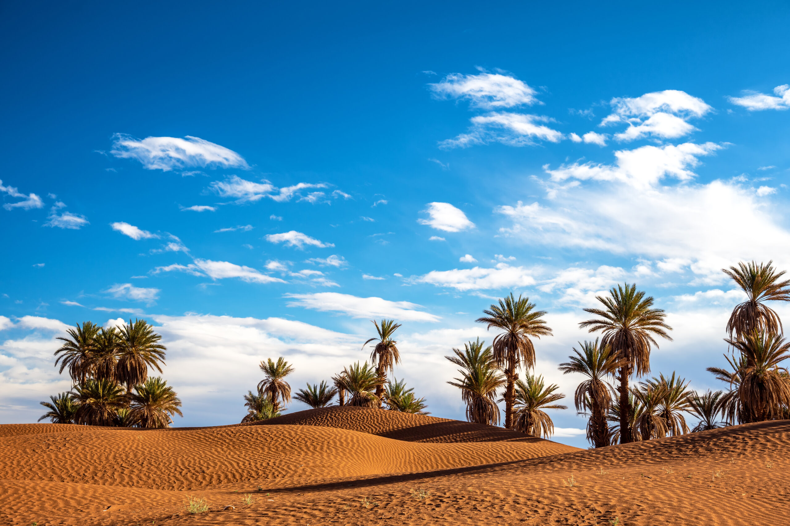 2 Days Desert Tour from Marrakech to Zagora Desert