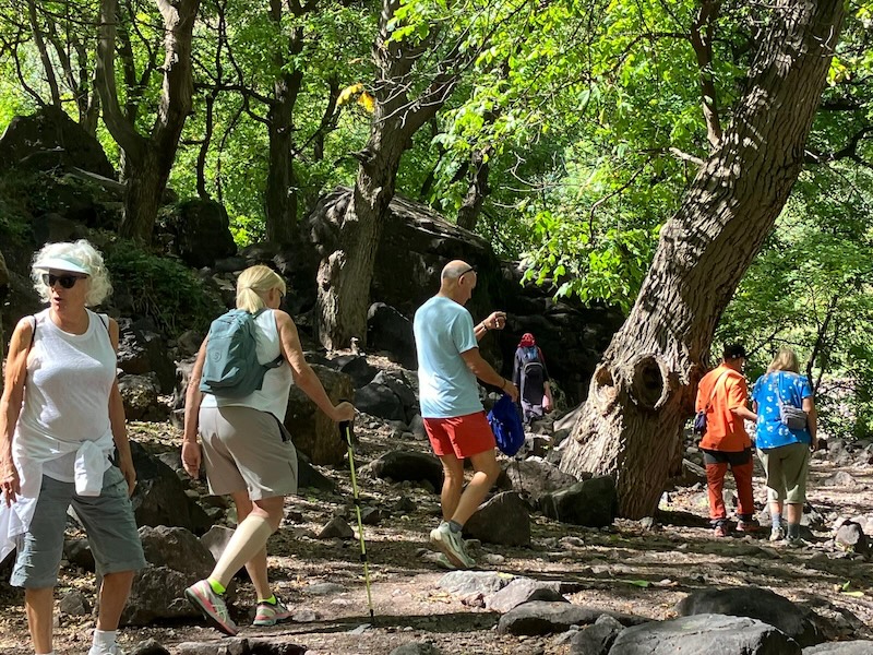 8-Day Southern Morocco Adventure: Trekking, Sahara Desert